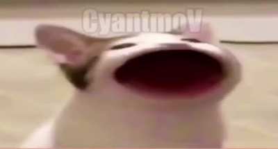 &eacute; o menino de papai &eacute;?