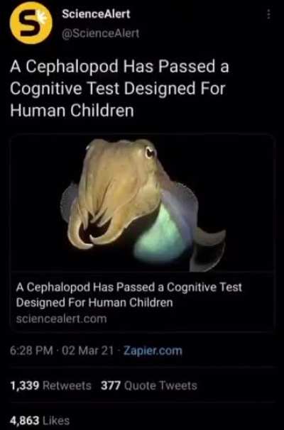 Losercity deep sea testing