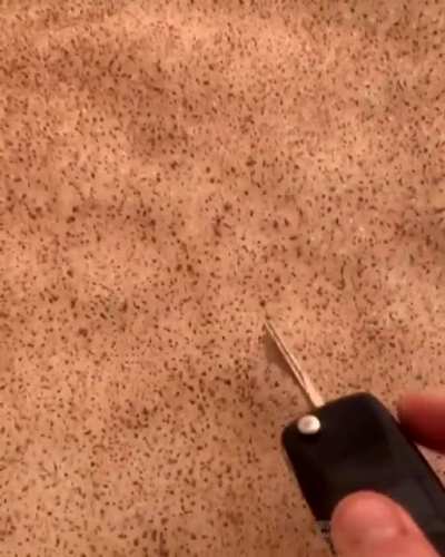 Sahra &ccedil;&ouml;l&uuml;nden gelen kum bulutları Avrupa&rsquo;da karı kaplamış amk