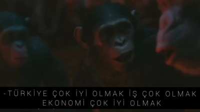 maymun birlikte g&uuml;&ccedil;l&uuml;
