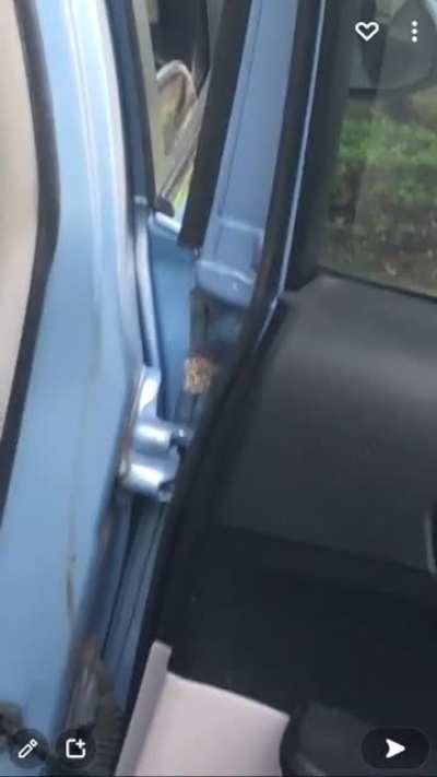 Me trying to clean the car&hellip;