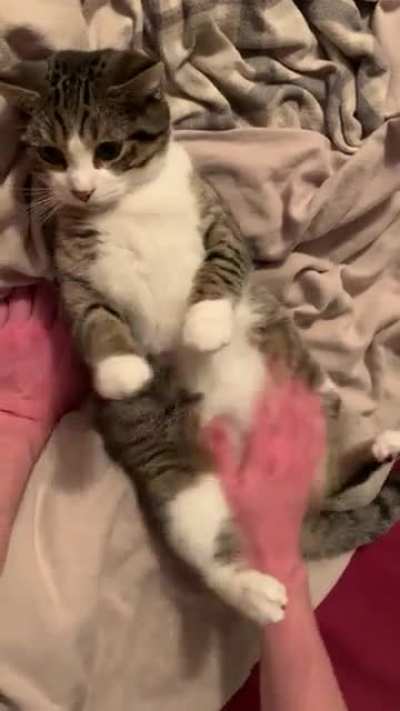 She LOVES her belly rubs 🥺🥺🥺