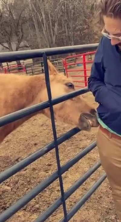 A little equine lip lovin&rsquo;
