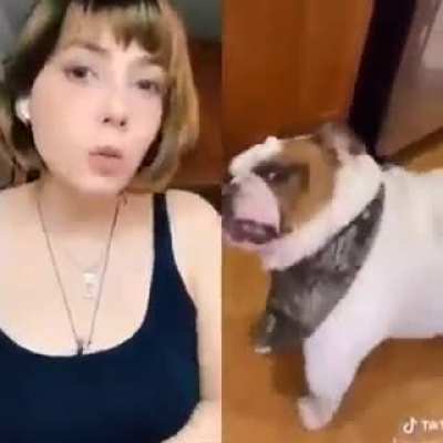 XD