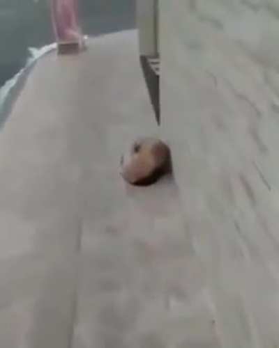 Ah
