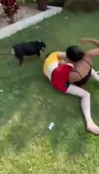 Fair Fight Could Have Gone Either Way