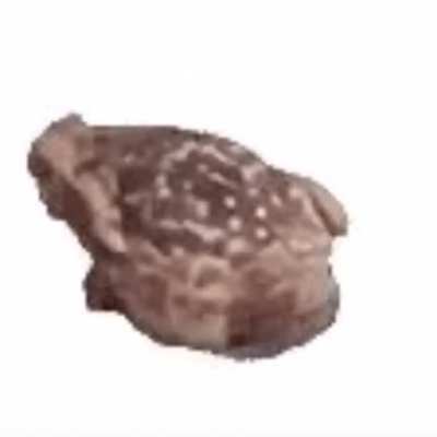 Spinning frog with music. Made by me