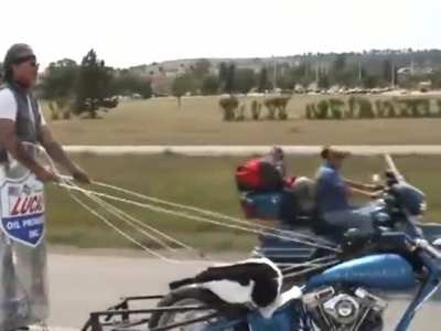 "Tactical Chariot"