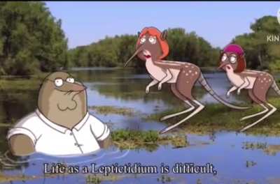 Shut up meg