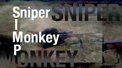 Ha, Simp