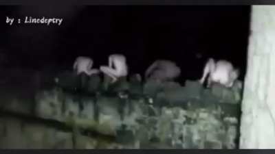Cursed frogs