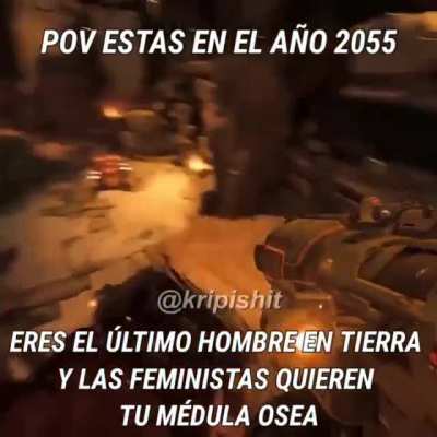 toas putas