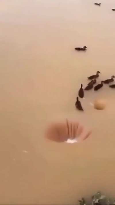 hmm