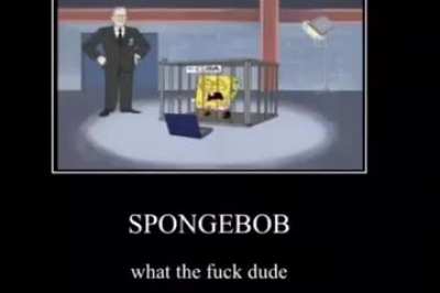 spumch bill nooi