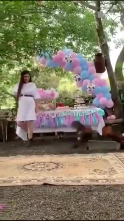 O ch&aacute; de revela&ccedil;&atilde;o foi longe demais