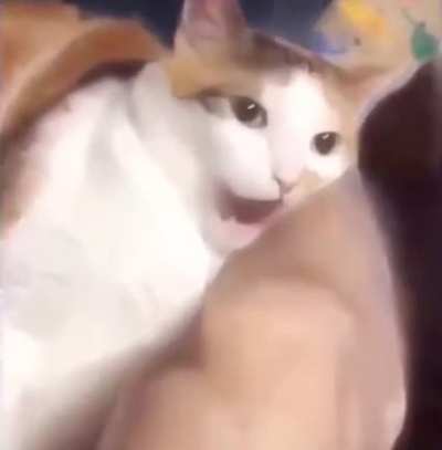 You so fu-