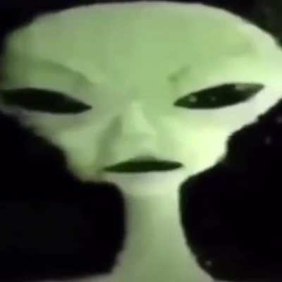 Testicle