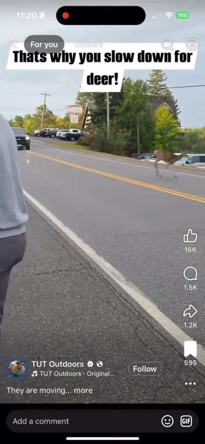 Wait for it&hellip;wait for it&hellip;NOW!