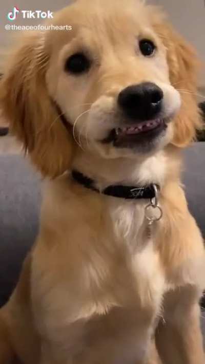 My teeths