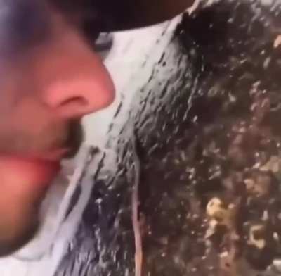 🐛