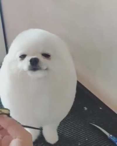 ᵖᵒᵈᵉ ᶜᵒⁱˢᵃ ᶠᵒᶠᵃ𓂺