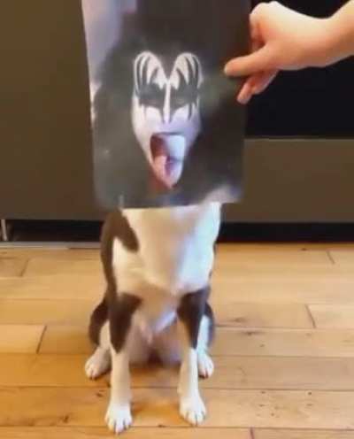 KiSS