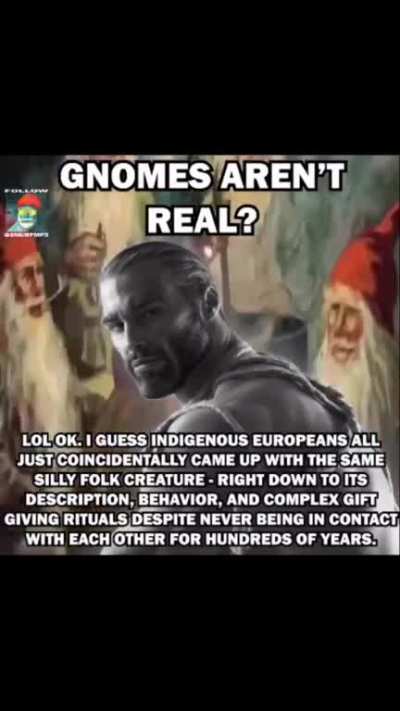 Gnomes are real 