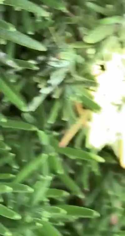 Don&rsquo;t ask how that sound was made