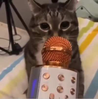 WAA-