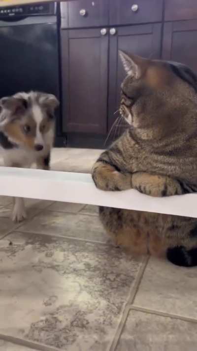 that kiss...