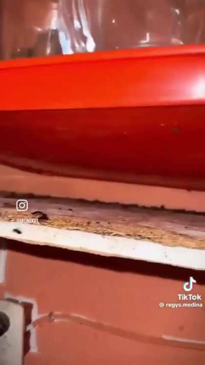 Restaurante em que voc&ecirc; faz seu pedido no Ifood