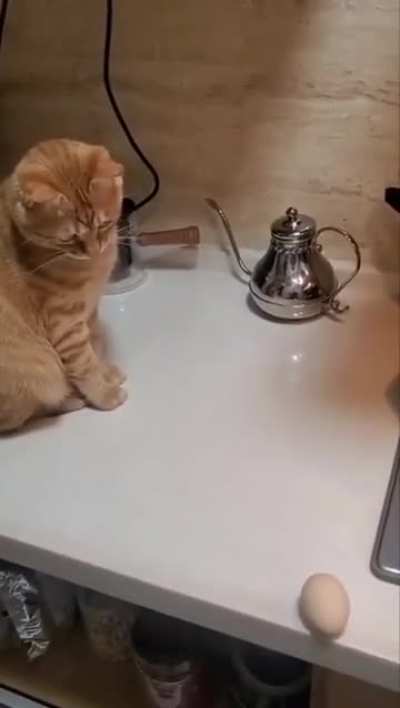 Suspense&hellip;