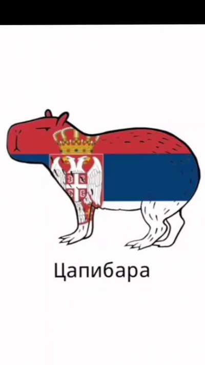 Capivara