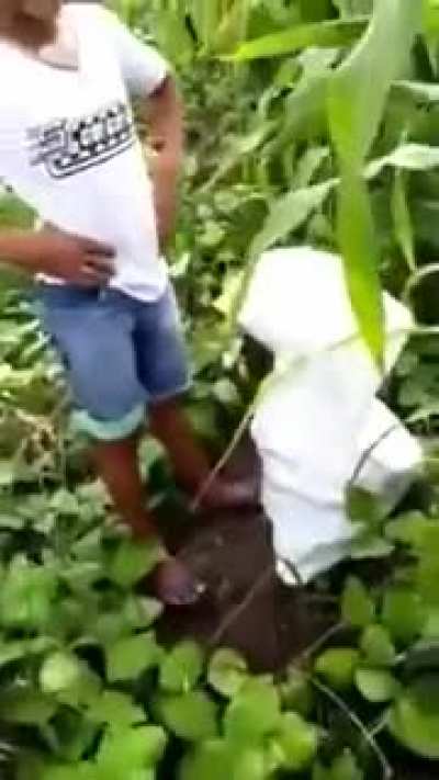Abre a boca Davi