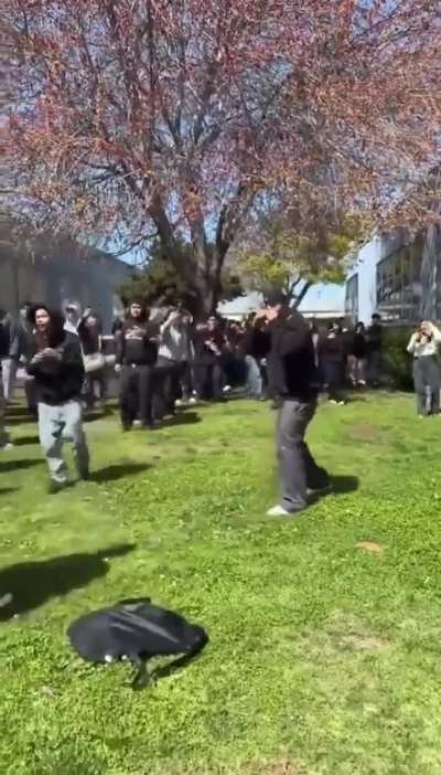 And i was thinking i’ll be seeing some fight!