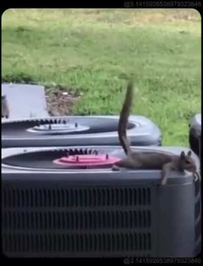 Wait for it...