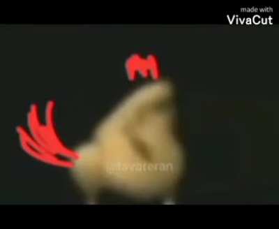 &zwnj;