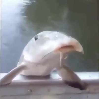 🧐😱😭🧐