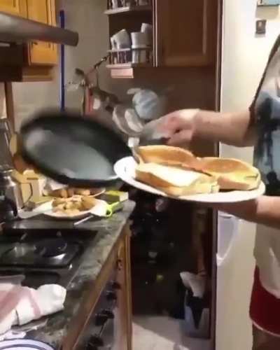 My sandwiches😩