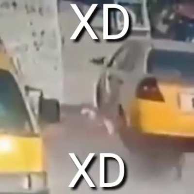 Momento XD