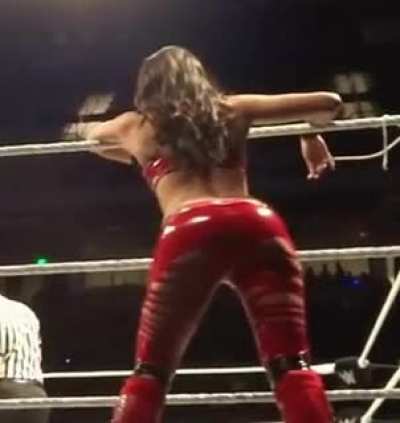 Brie Bella