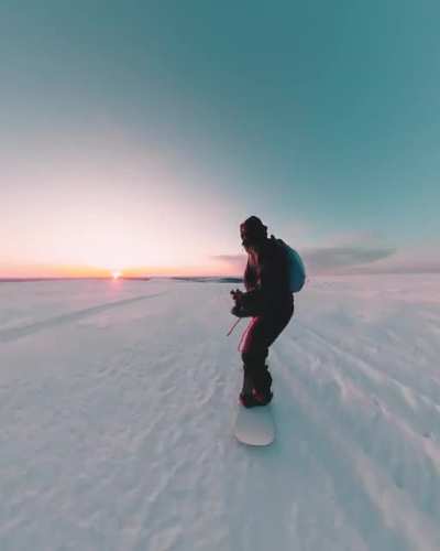Huskyboarding