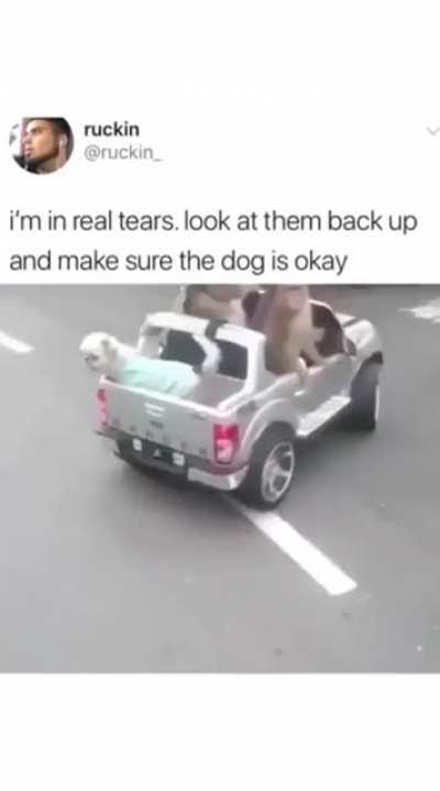 This made my day
