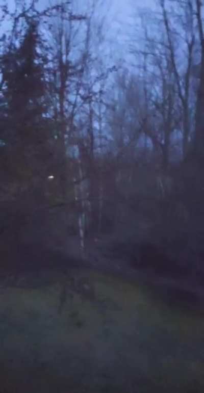 Okay so this just happened outside my window.... And they've never sounded like this