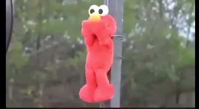 Elmo's gone, crab rave