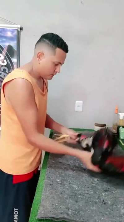 🐓