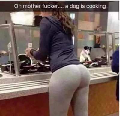 What the Dog doin