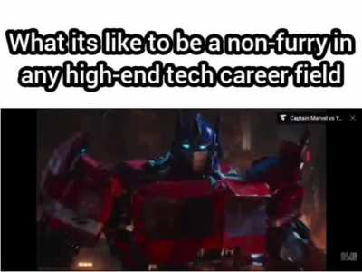There really are a lot of them