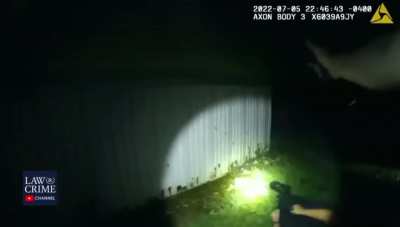Officer accidentally shoots partner while trying to shoot attacking pit bull