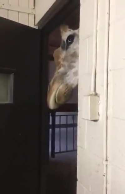 Is that for me